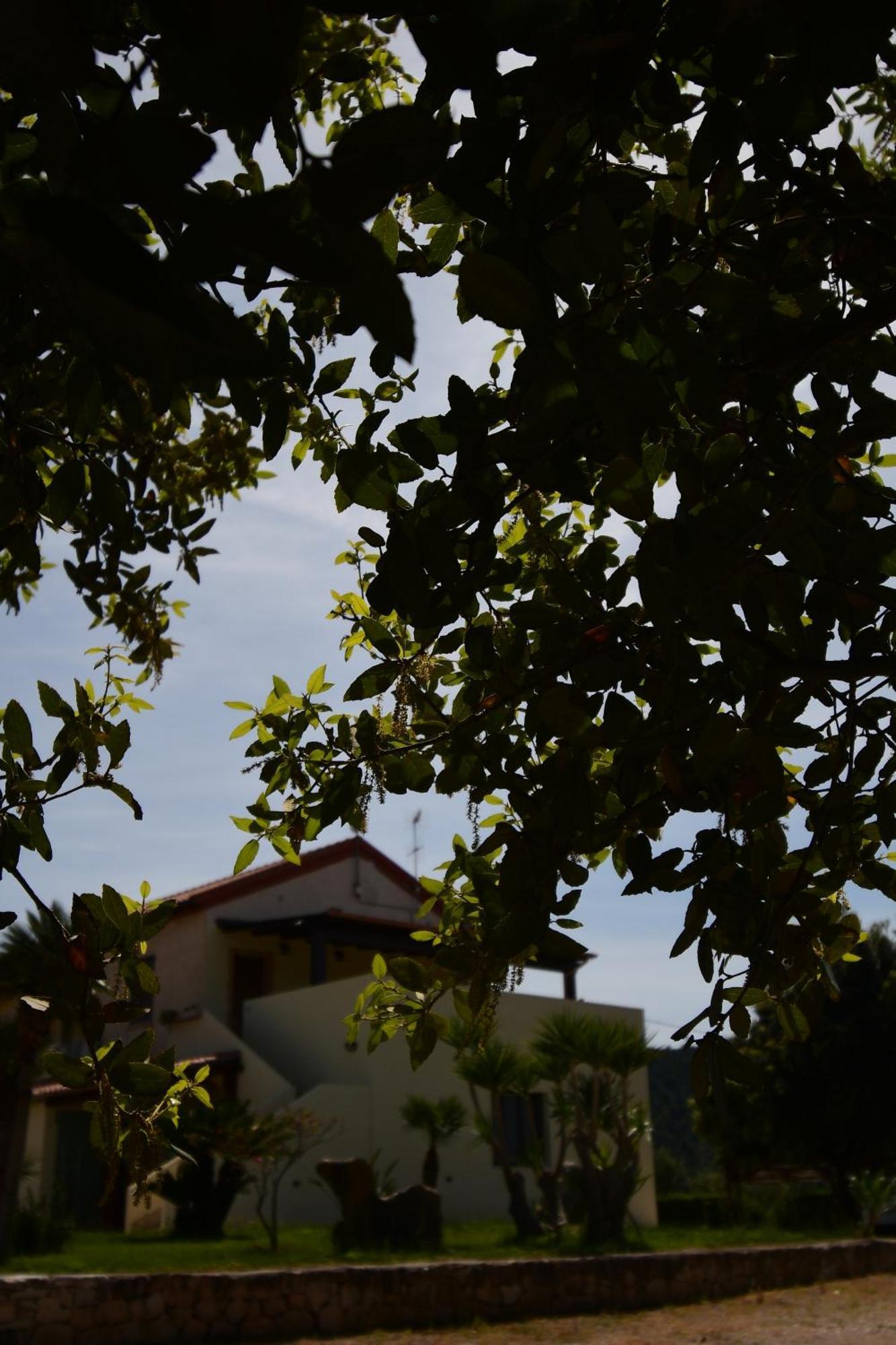Bentu e Sole Villa Fertilia Bagian luar foto